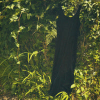 Velour Dress (67nowos)