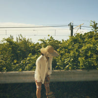 White Shirt (67nowos)