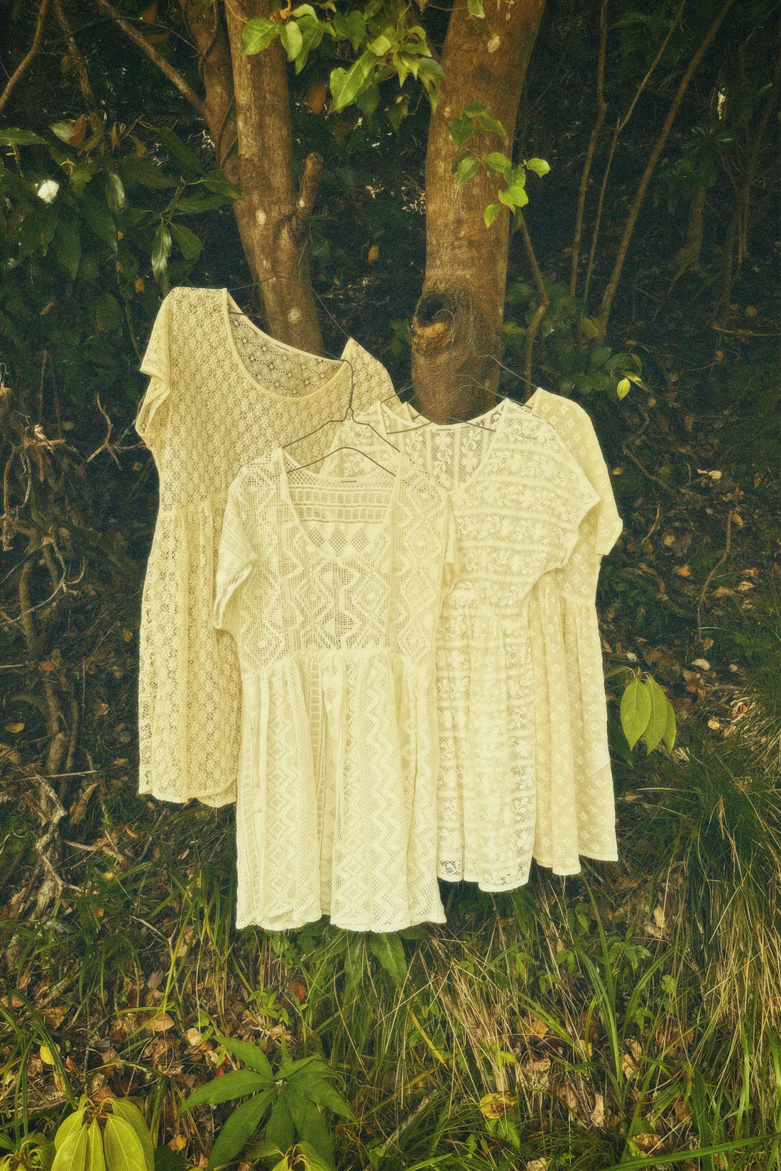 Lace Blouse (67nowos)