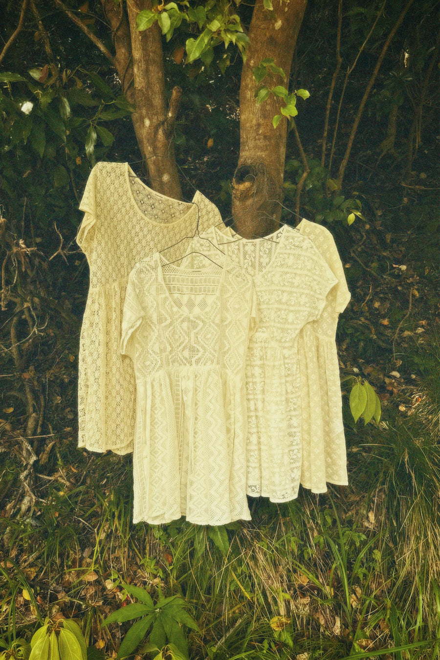 Lace Blouse (67nowos)