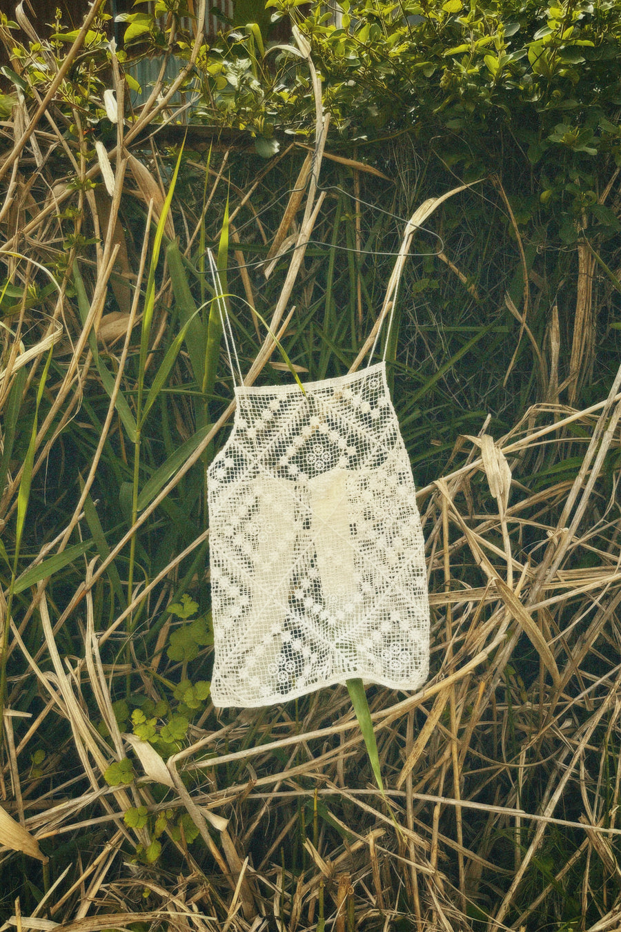 Lace Camisole (67nowos)