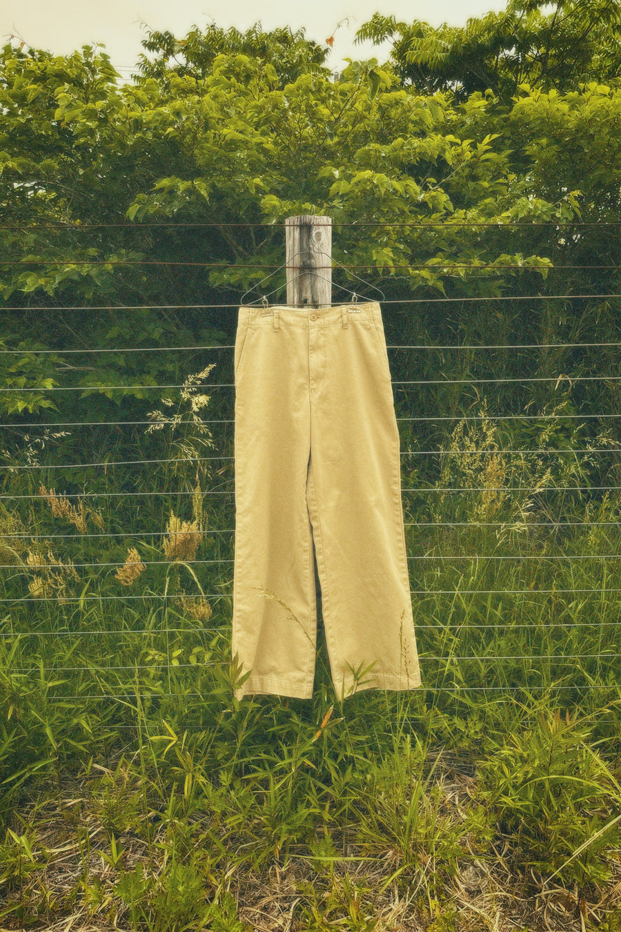 Chino Pants (TEE NOWOS)